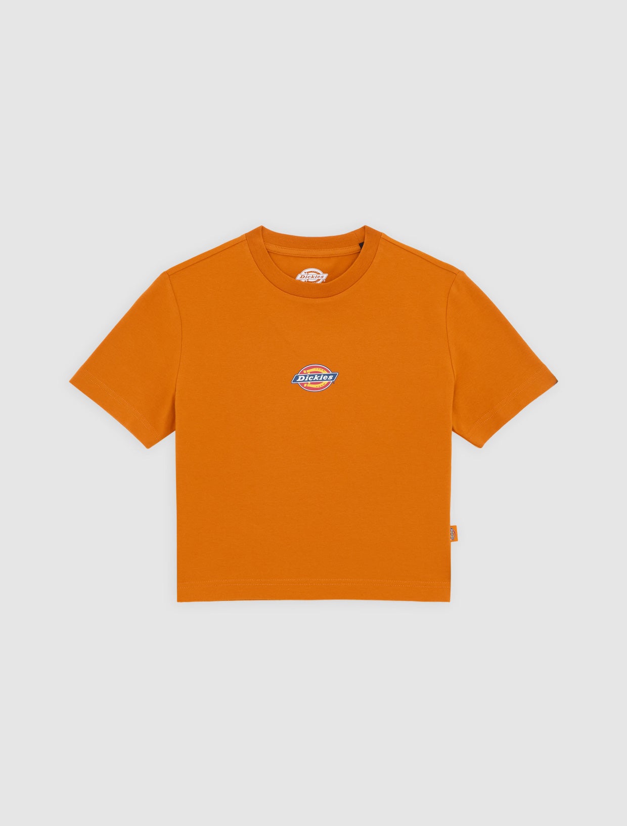 Maple Valley mid weight t-shirt | Dickies GB