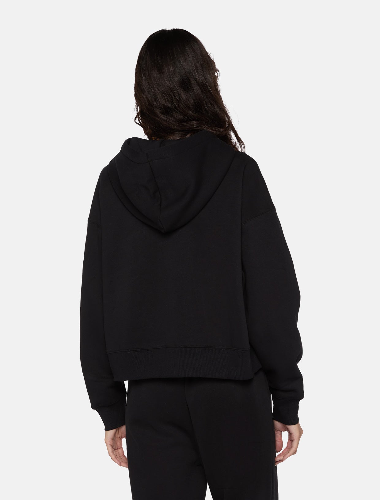 Oakport zip hoodie | Dickies GB