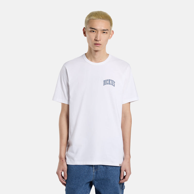 DK0A4Y8OWHX-99