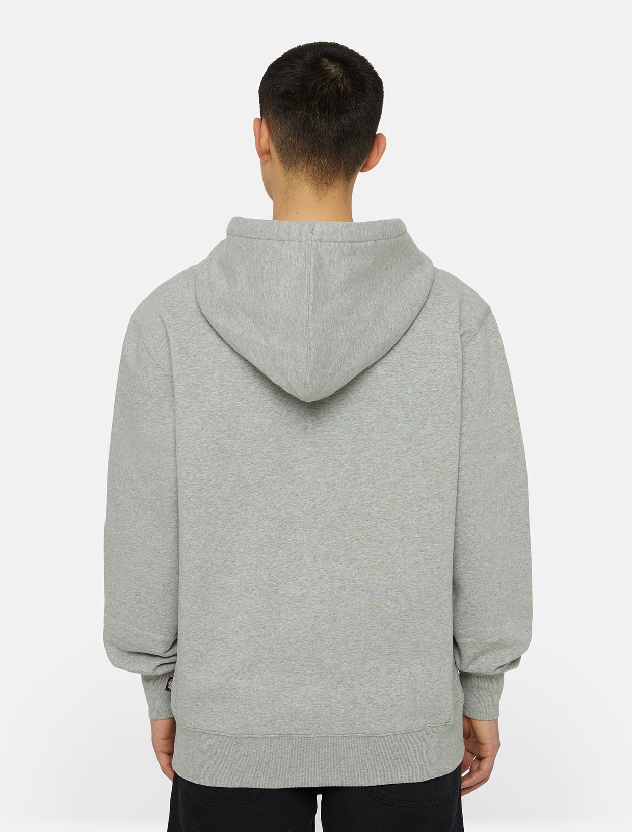 Summerdale full-zip hoodie | Dickies GB