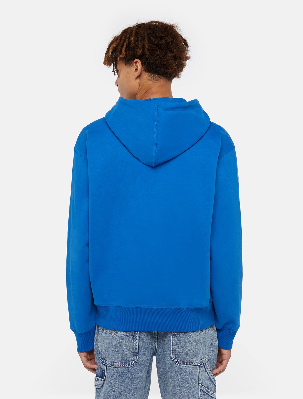 Enterprise hoodie | Dickies GB