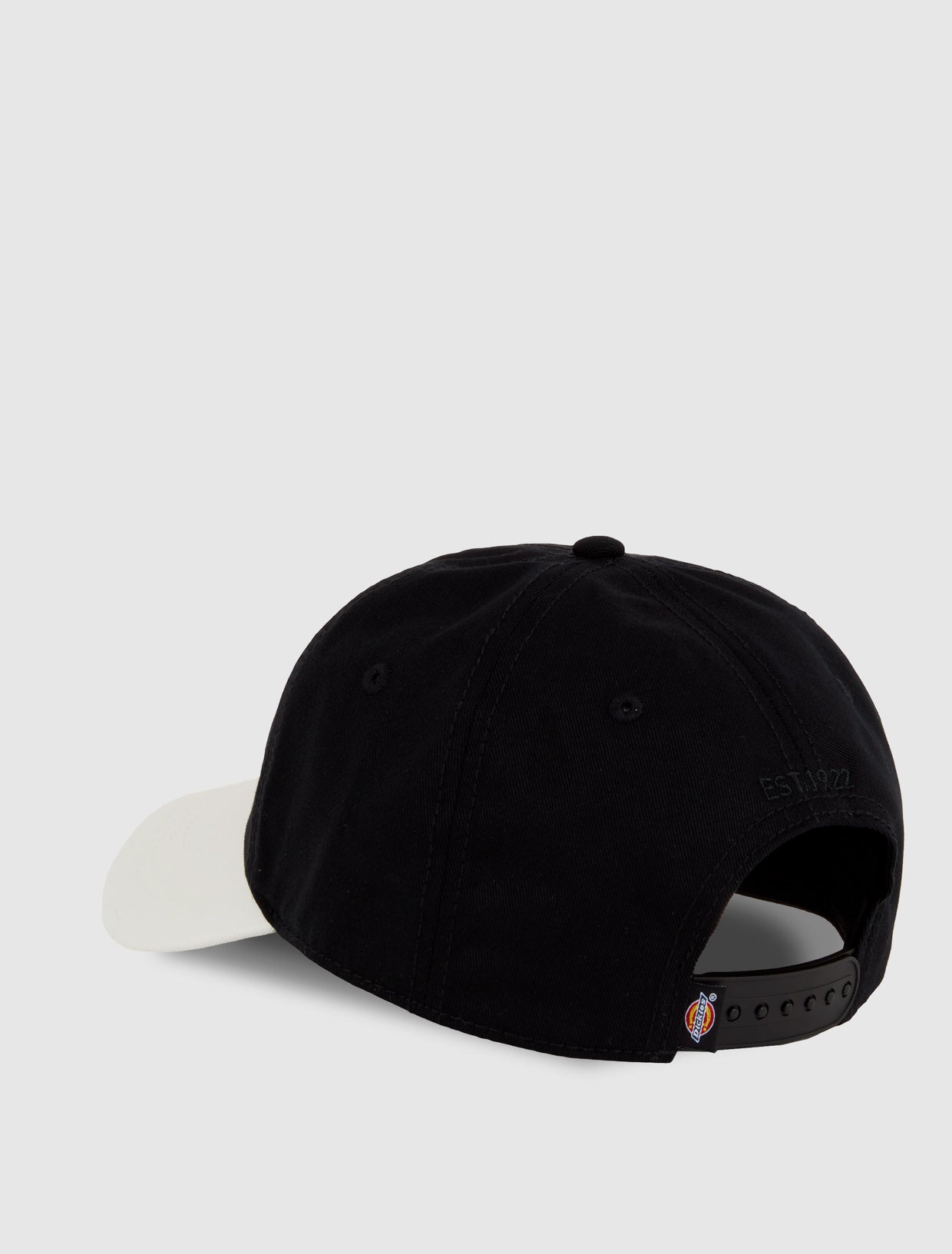 Hardwick two-tone baseball cap | Dickies GB