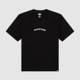 DK0A4Z8PBLK-50