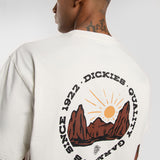 DK0A4Z8PC48-9