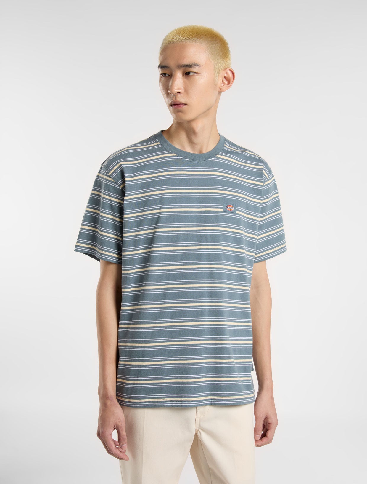 Lewistown Stripe T-Shirt | Dickies GB