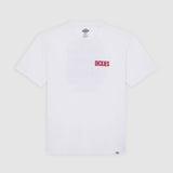 DK0A4Z8U0WH-50