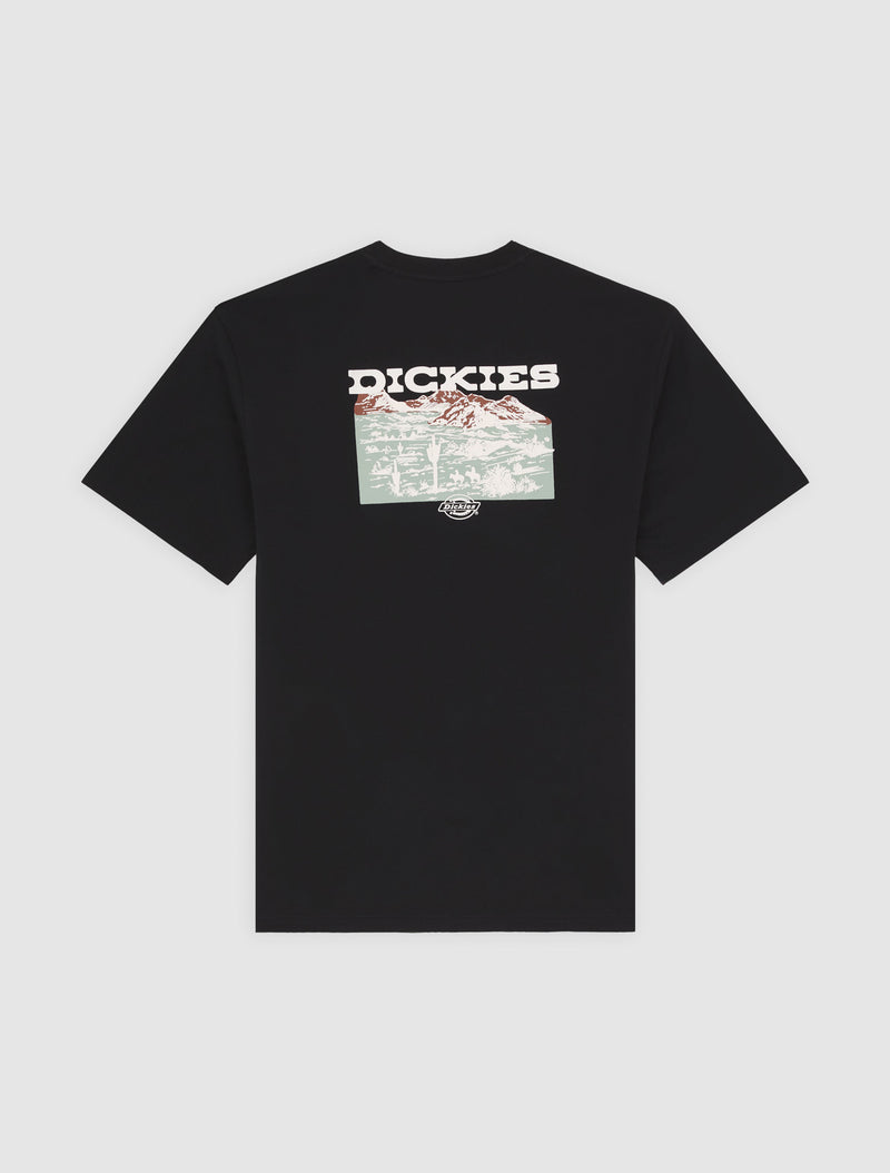 DK0A4Z8VBLK-60