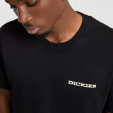 DK0A4Z8VBLK-7