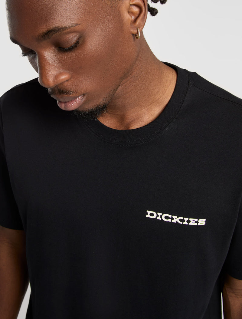 DK0A4Z8VBLK-7