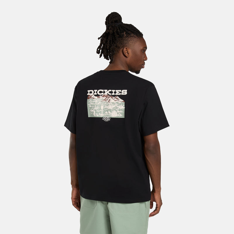 DK0A4Z8VBLK-99