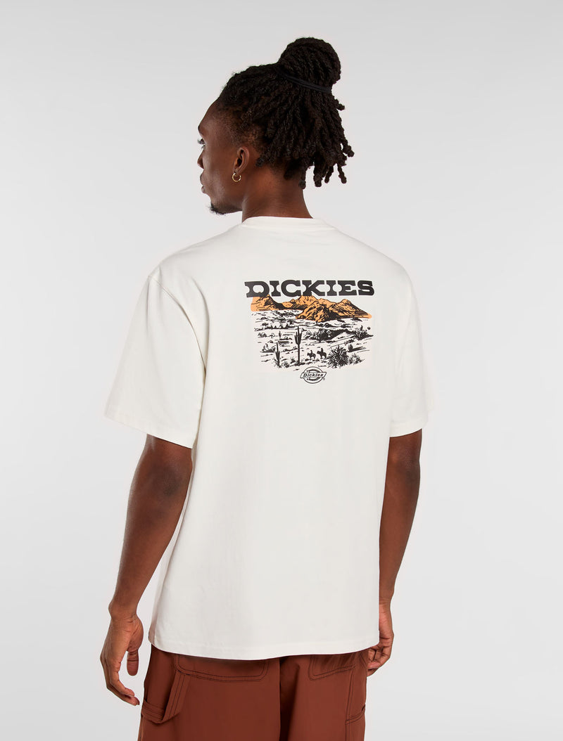 DK0A4Z8VC48-1