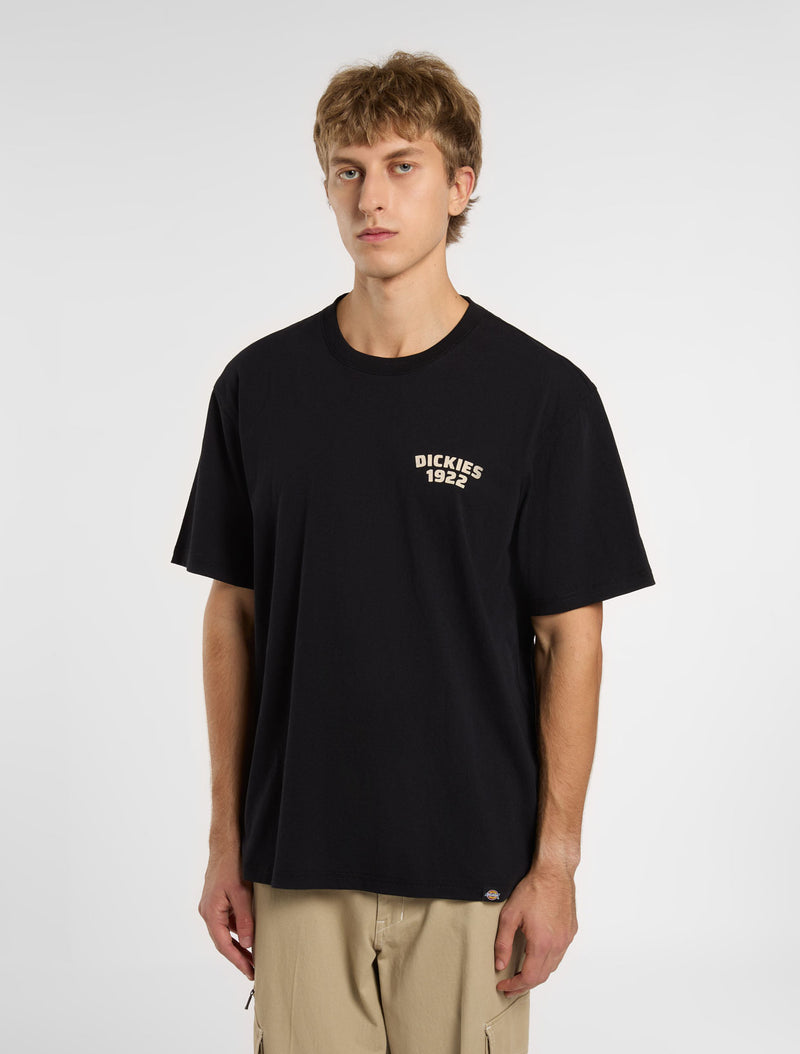 DK0A4Z96BLK-2