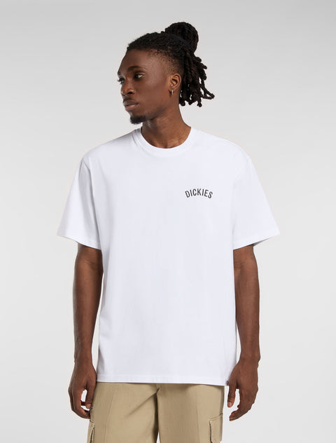 DK0A4Z990WH-2