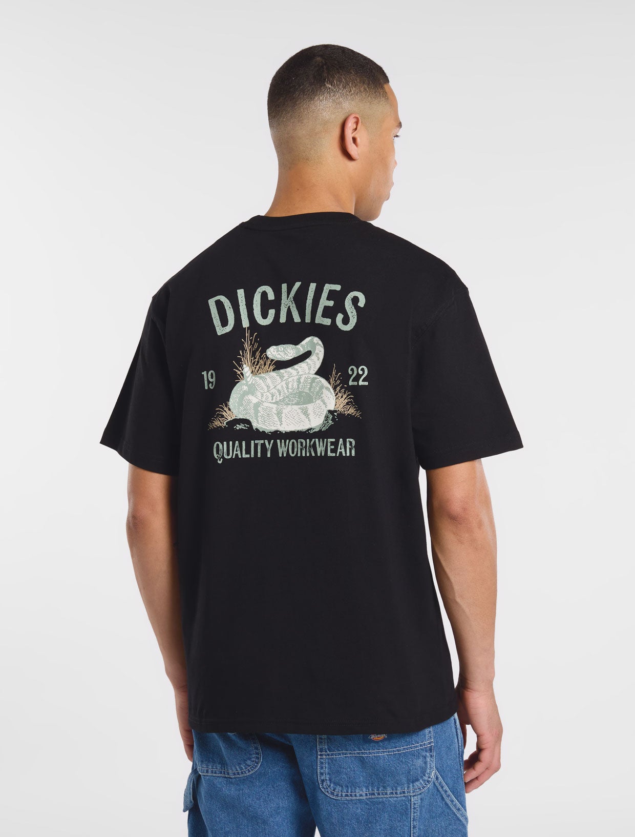 Snake t-shirt | Dickies GB