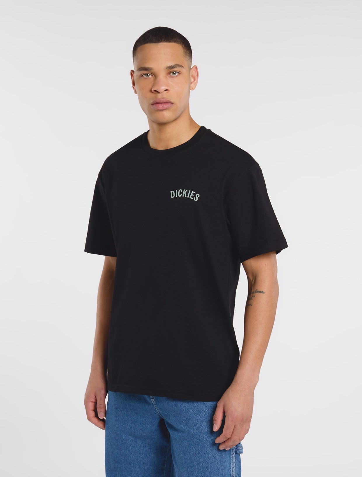 Snake t-shirt | Dickies BE