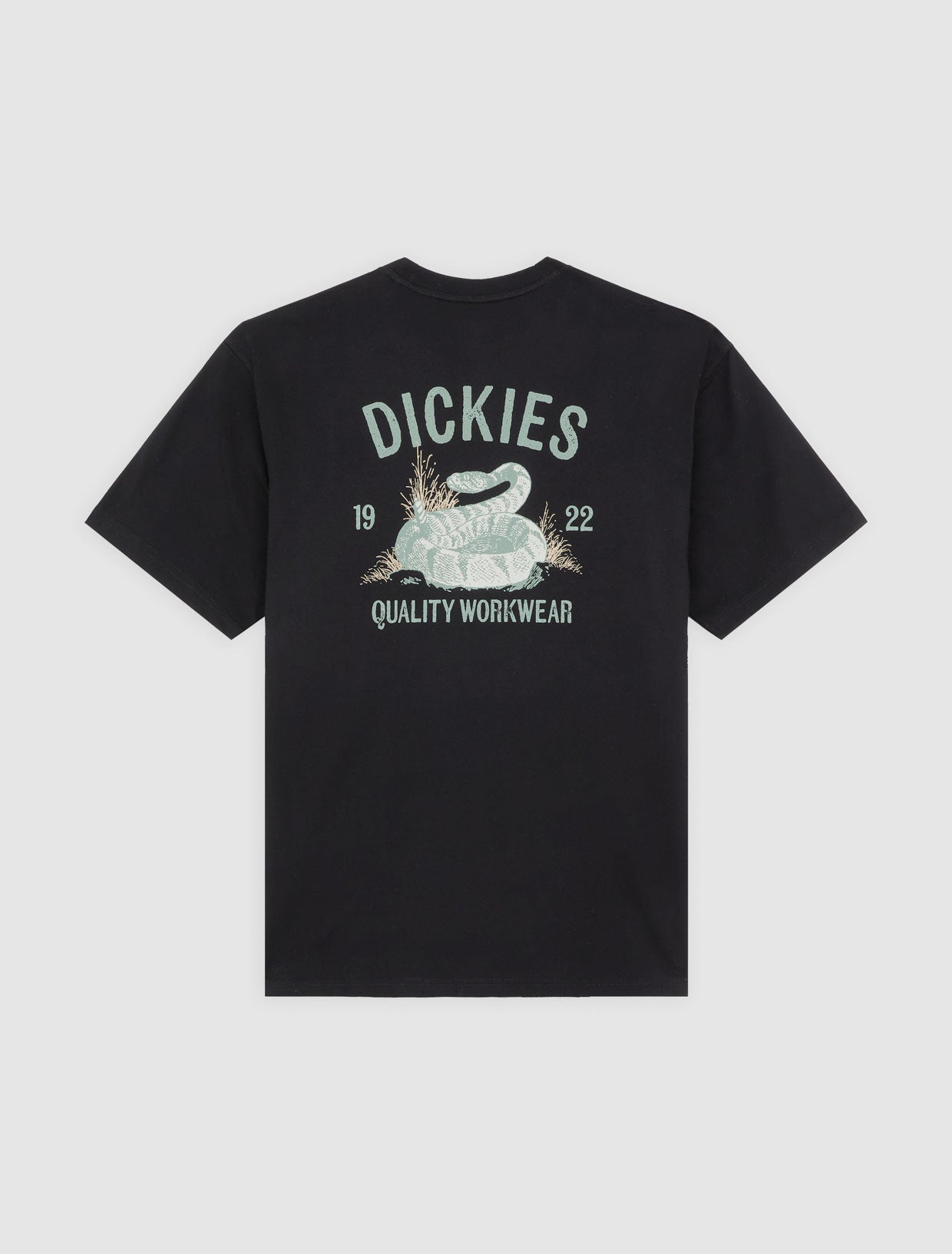 Snake t-shirt | Dickies FI