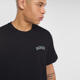 DK0A4Z99BLK-7