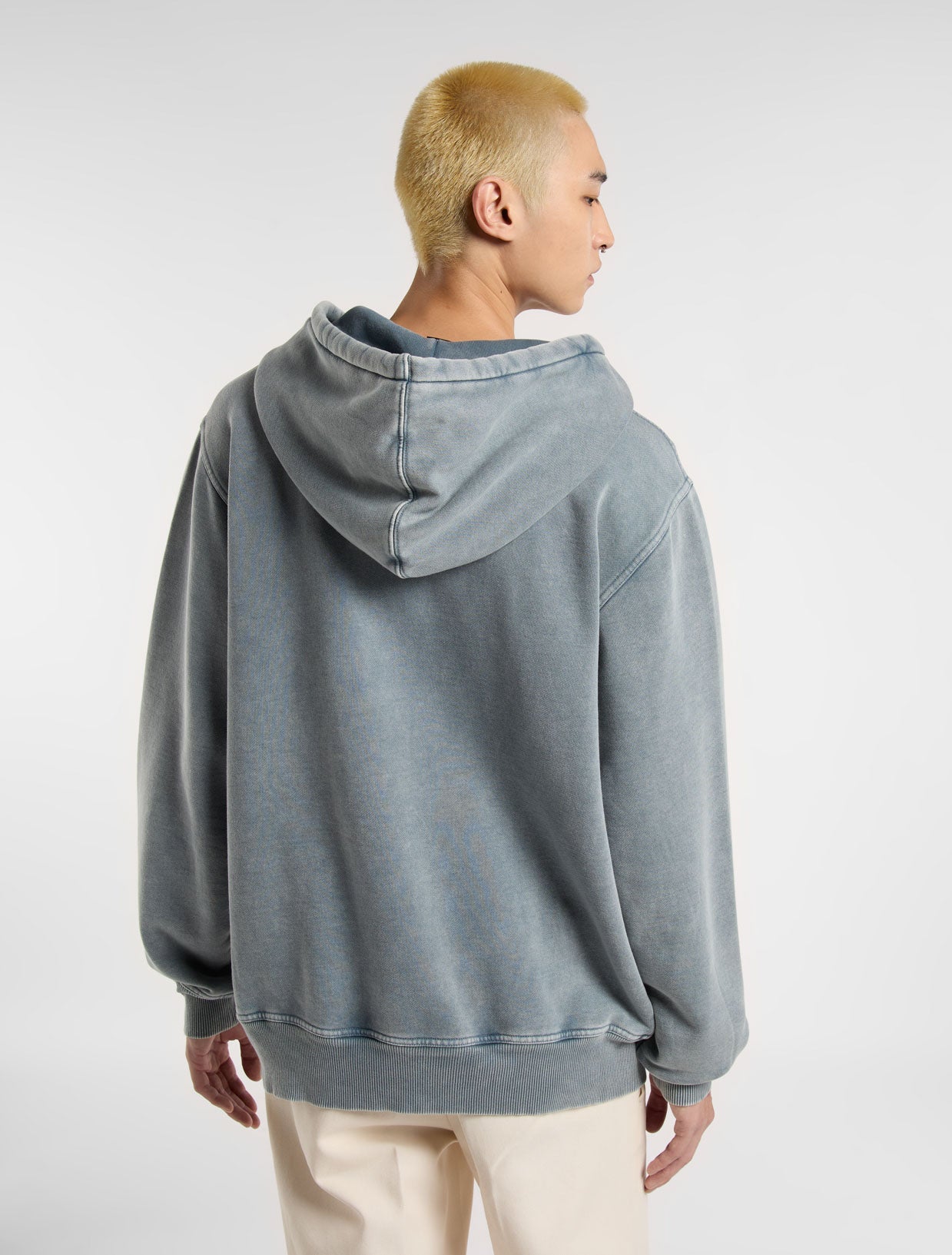 Plentywood pullover hoodie | Dickies GB