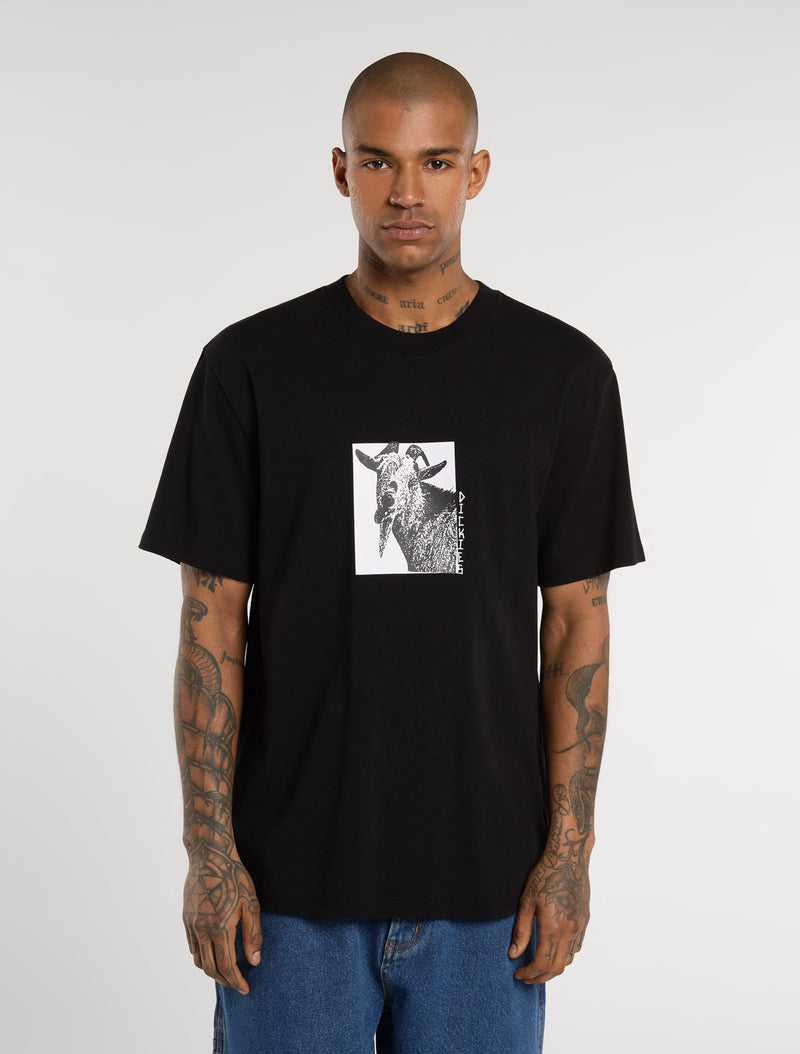 DK0A8672BLK-1