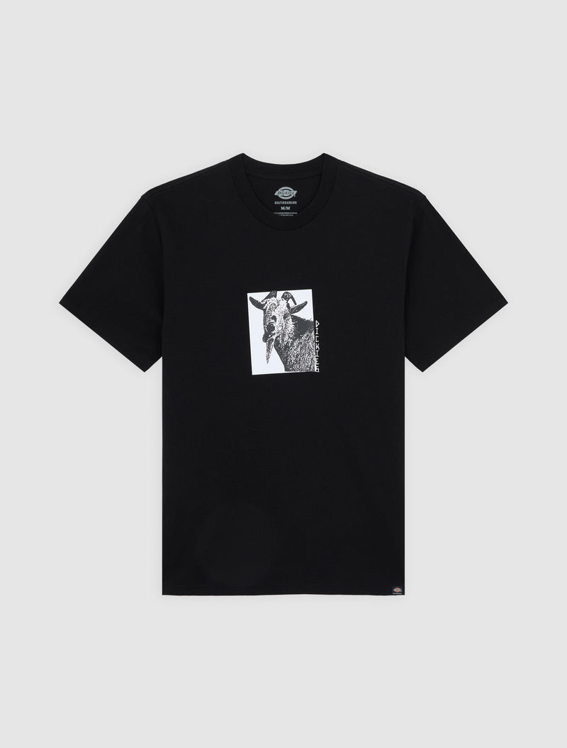 DK0A8672BLK-50