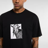 DK0A8672BLK-7