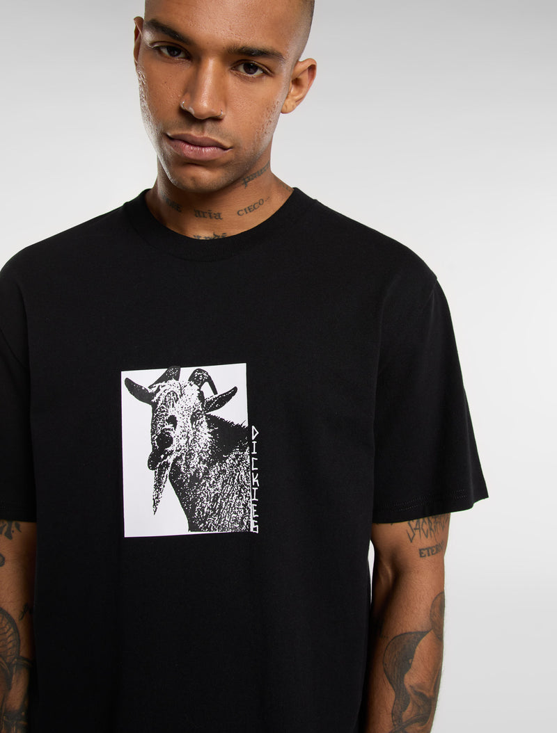 DK0A8672BLK-7