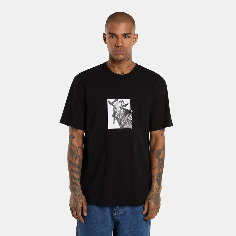 DK0A8672BLK-99