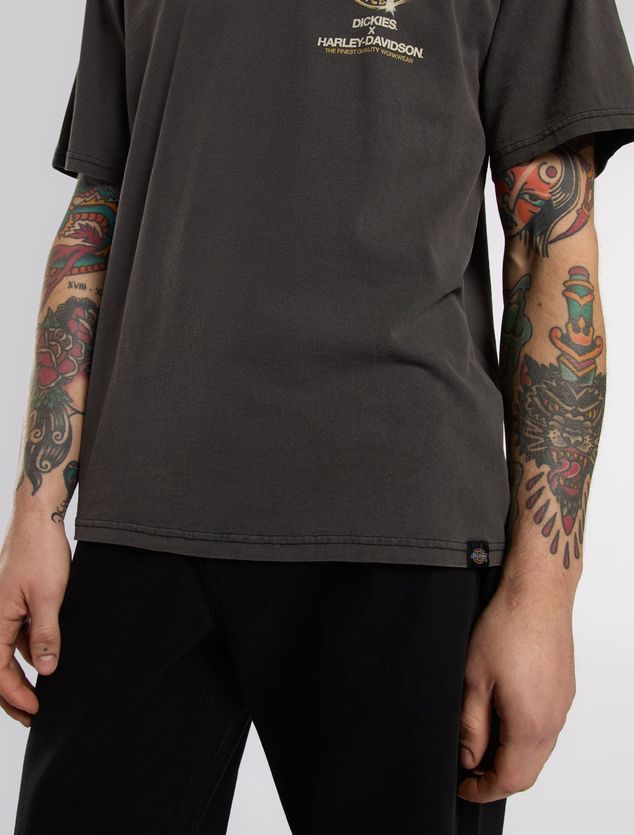 Dickies X Harley Davidson Eagle T-Shirt | Dickies GB