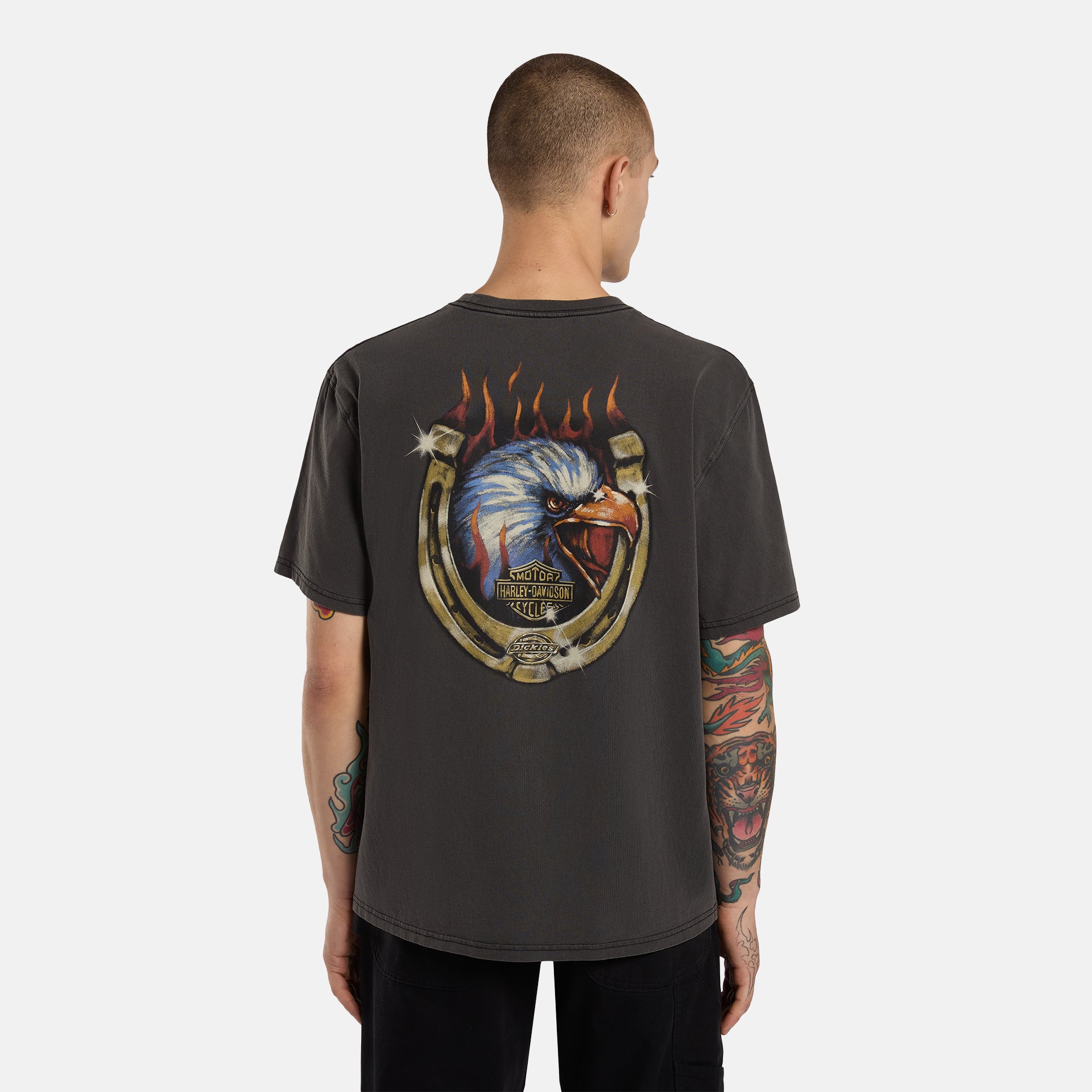Dickies x Harley-Davidson Eagle t-shirt | Dickies GB