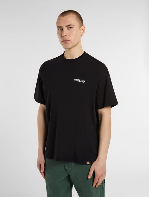 DK0A87QIBLK-2