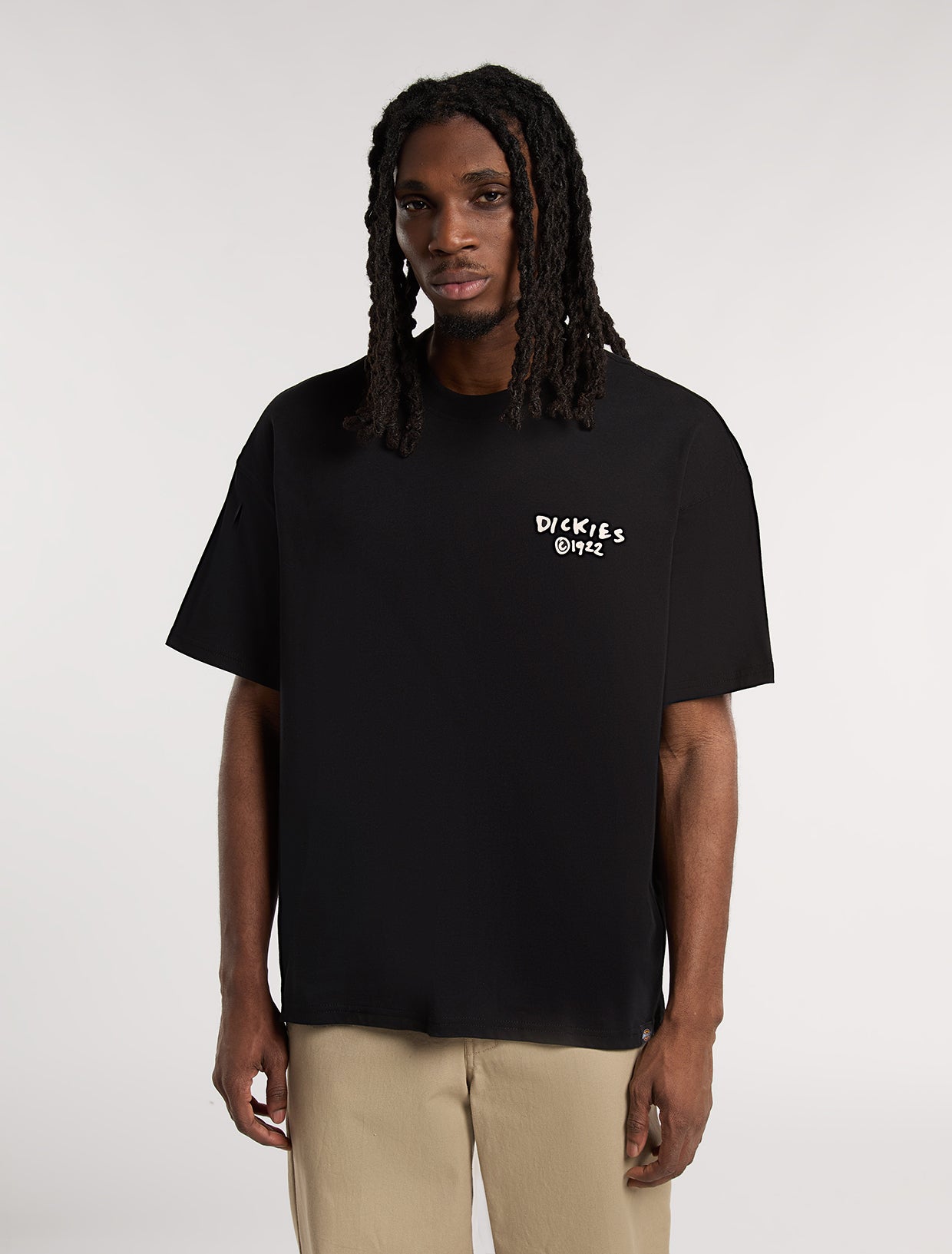 Sneedville light weight t-shirt | Dickies GB