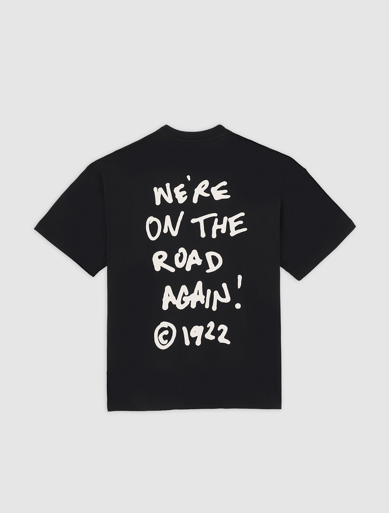 Sneedville light weight t-shirt | Dickies GB