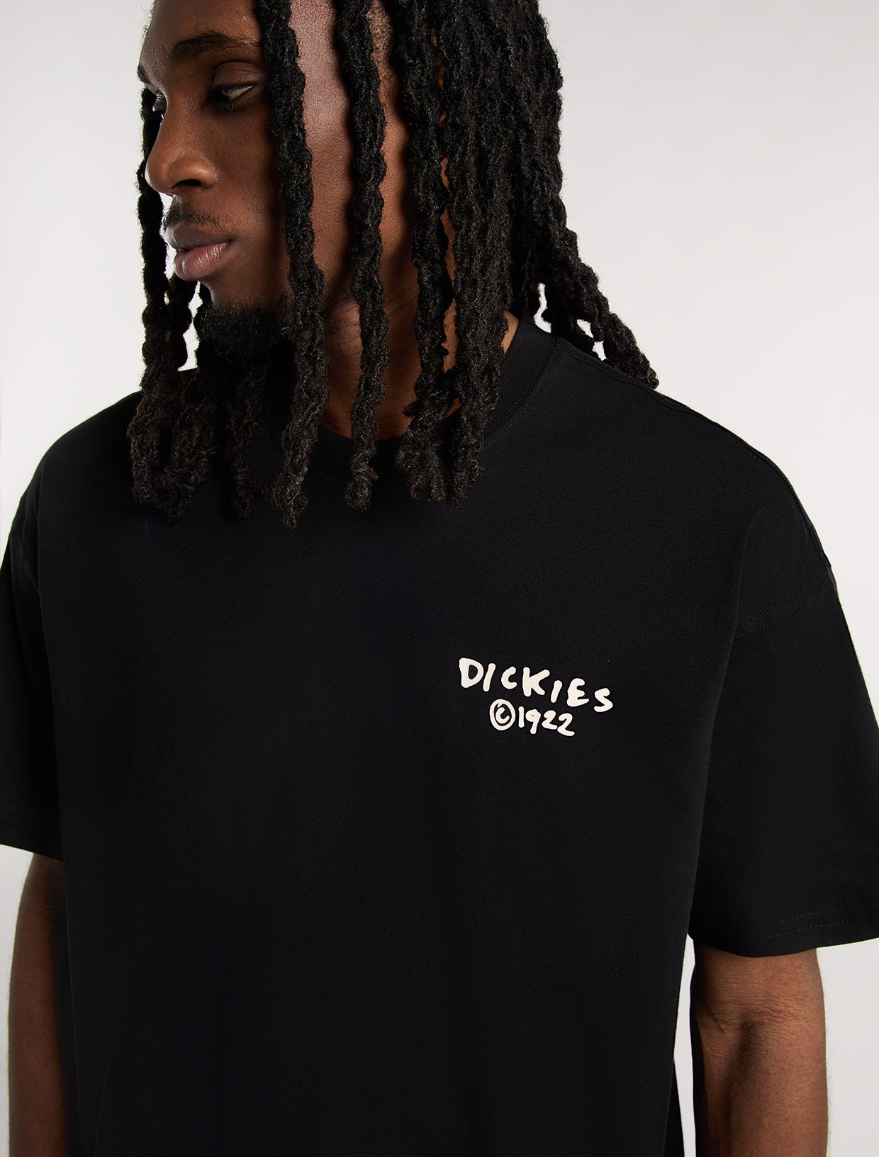 Sneedville light weight t-shirt | Dickies GB