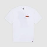 DK0A87QQ0WH-50