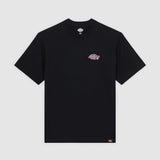 DK0A87QQBLK-50
