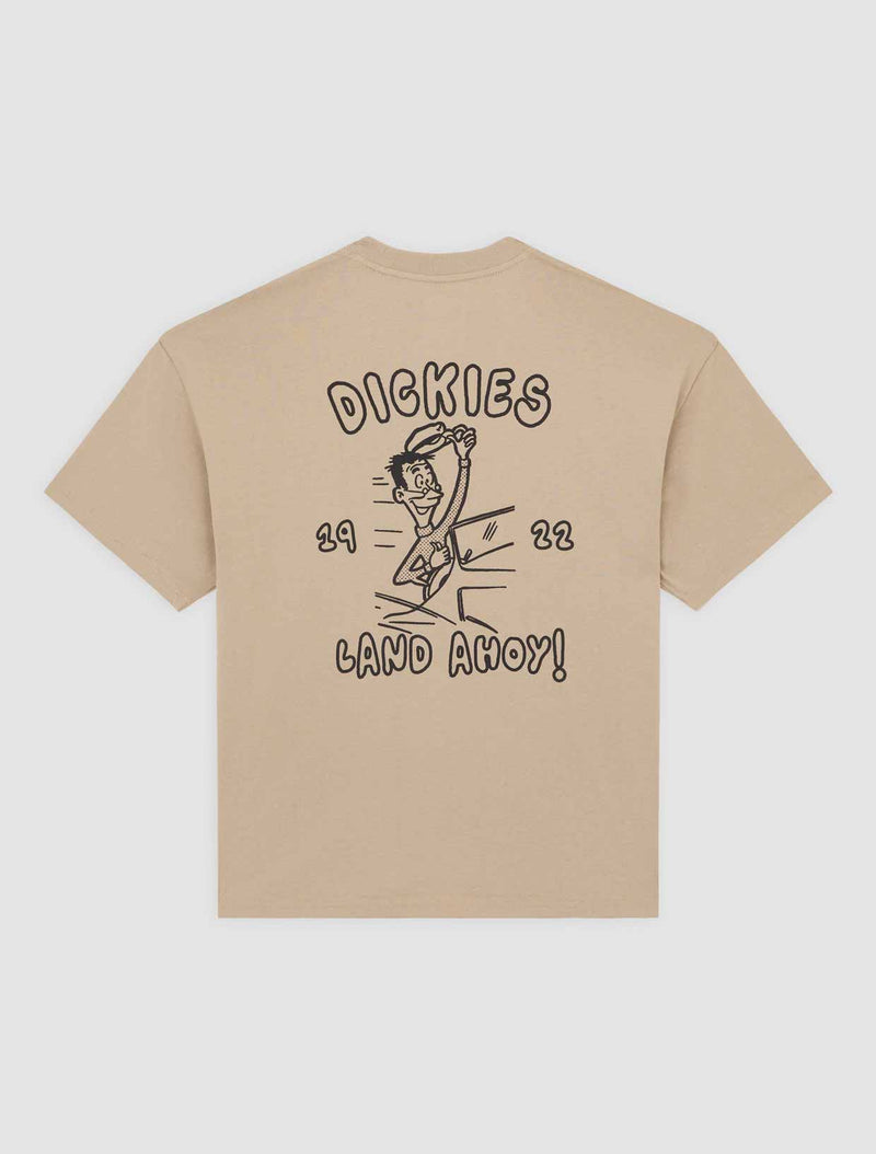DK0A87QT0DS-60