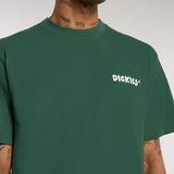 DK0A87QUPIN-7