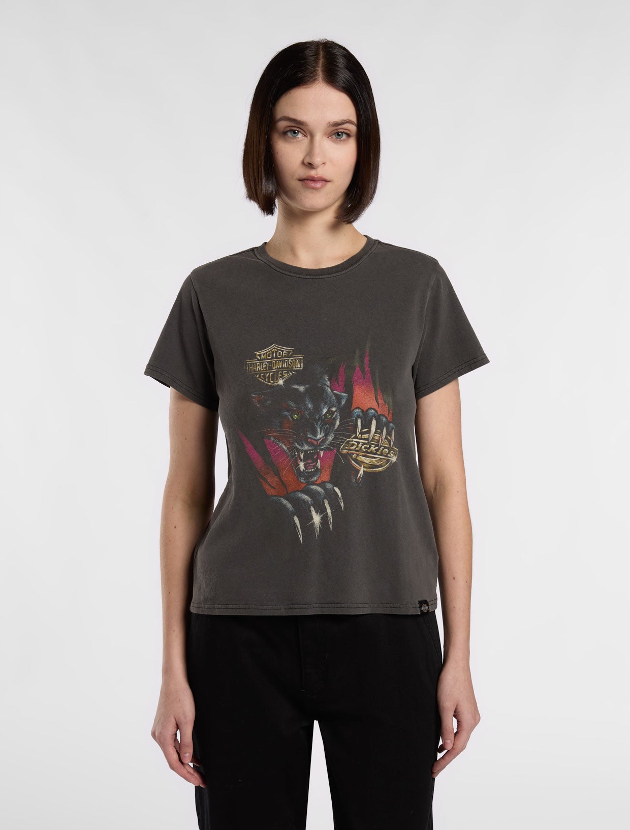 90s HARLEY DAVIDSON Tシャツ PANTHER KANYE 90s HARLEY DAVIDSON Tシャツ PANTHER KANYE