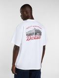 DK0A88860WH-1
