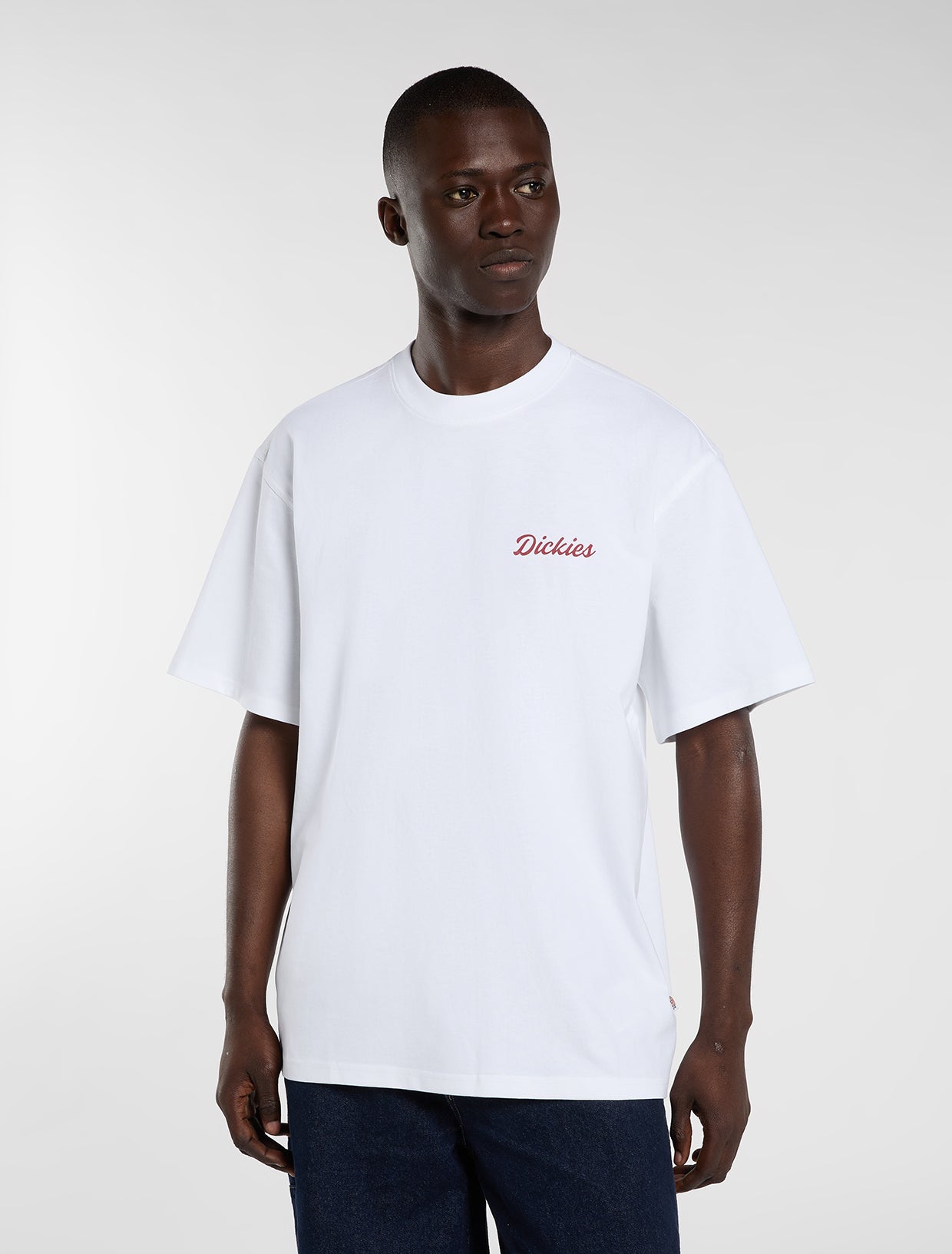 Wellsville midweight t-shirt | Dickies BE