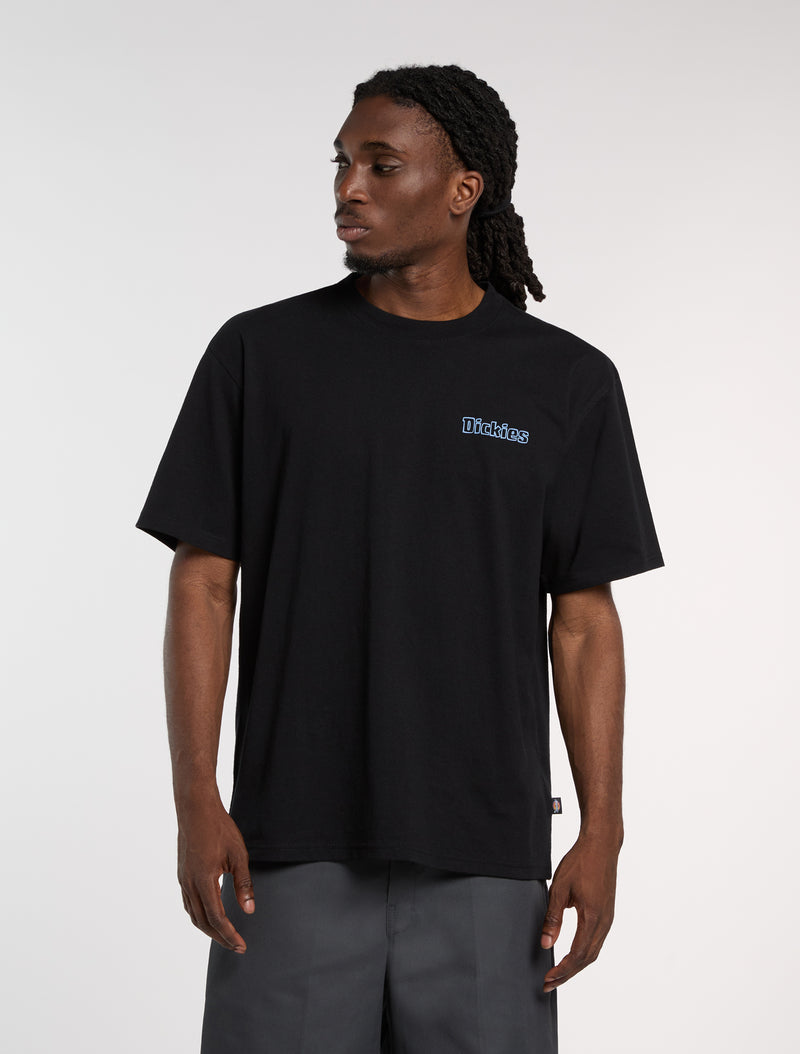 DK0A88GEBLK-2