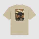 DK0A88QQL44-60