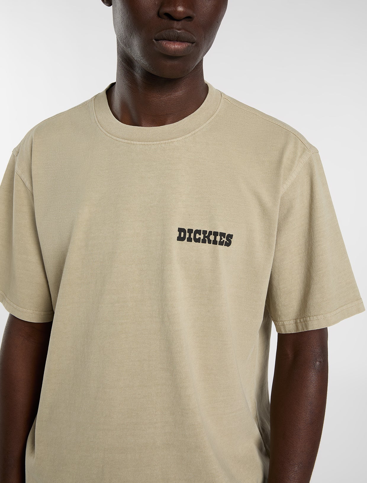 Darrtown midweight t-shirt | Dickies GB