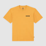 DK0A88QQSOR-50