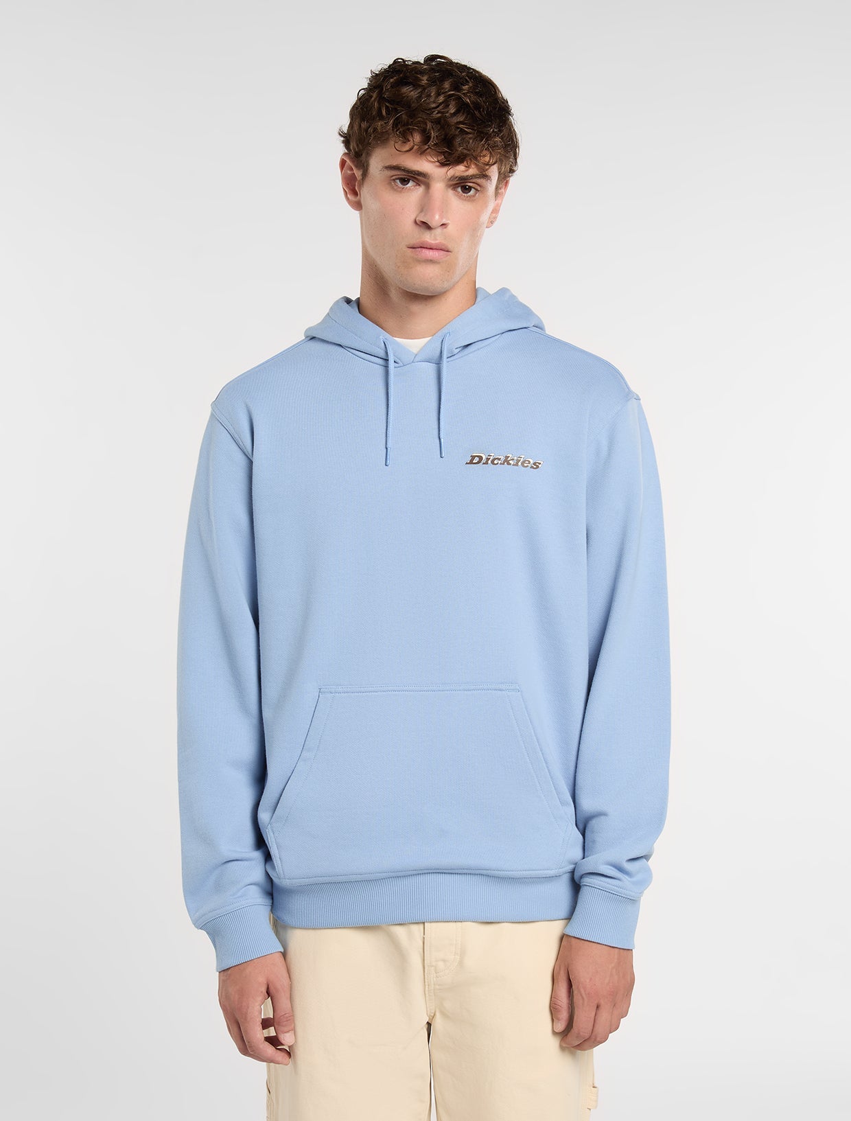Thornville pullover hoodie | Dickies GB